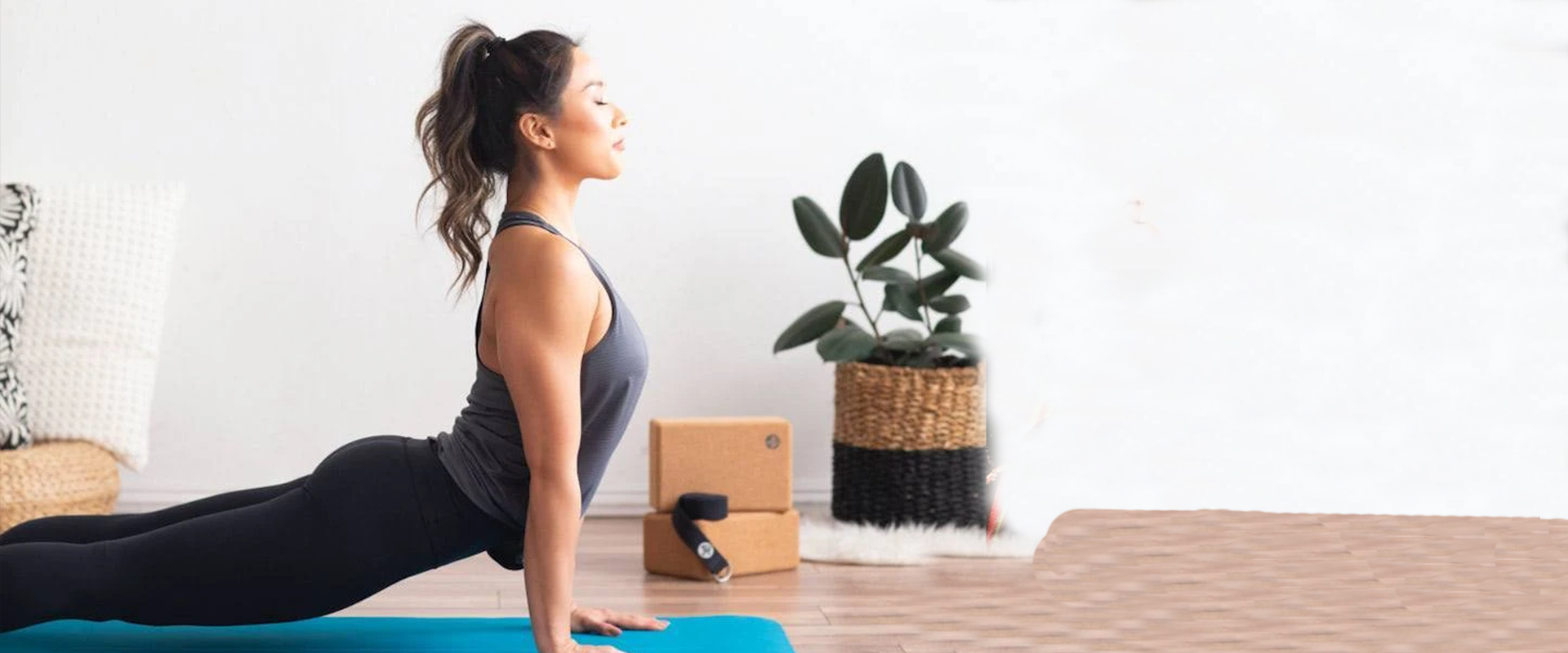 From Beginner to Pro: All You Need To Start Teaching Yoga Online